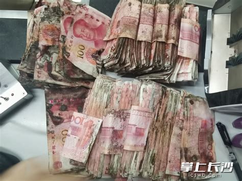 10万元现金土里发霉，银行暖心“抢救”挽回损失 经济动态 长沙晚报网