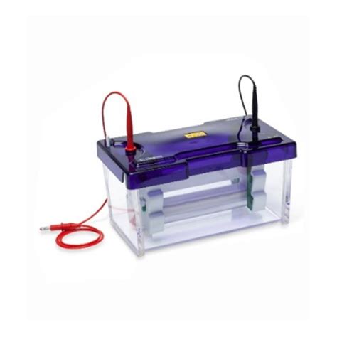 Transparent Mini And Wide Mini Vertical Gel Electrophoresis System At