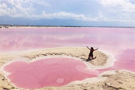 Parque Natural Ría Lagartos And Las Coloradas From Cancun Feb 2024