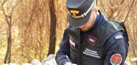 Carabinieri Forestali Denunciano Enne Di Rivodutri Per Incendio