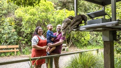 Zealandia Wellington - LetsGoKids
