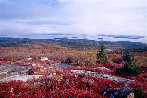 Cadillac Mountain Autumn Photograph By George Oze Fine Art America