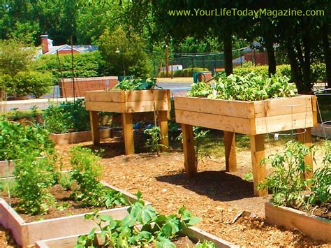 Vegetable Gardening For Beginners The Basics Of Planting Above Ground Vegetable Garden Kits