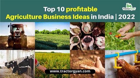 Top 10 Profitable Agriculture Business Ideas In India 2022 Tg845