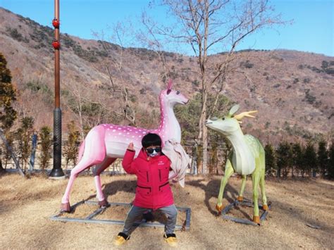 진주 월아산 우드랜드 경남 아이들과 가볼만한곳 하루가 모자라 네이버 블로그