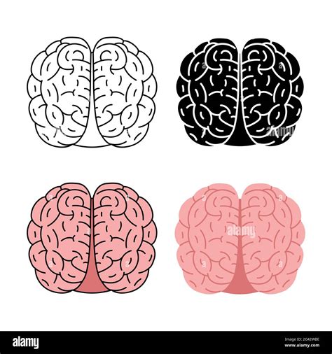 Brain Front View Clipart