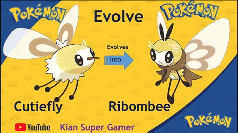 How To Evolve Alola Generation 7 Pokemon Evolve Which Pokemon To Which