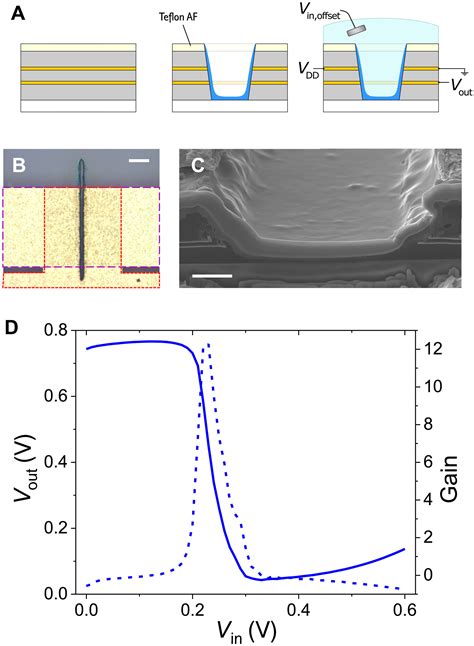 Ambipolar Inverters Based On Cofacial Vertical Organic Electrochemical