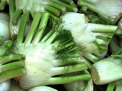 Le Fenouil Recette De Fenouil Au Curry