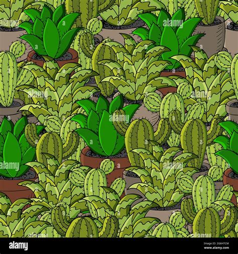 Vector Seamless Pattern Of Different Cacti Cute Background From Tropical Plants Exotic