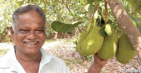 Success Story Of A Vietnam Early Gold Jackfruit Farmer Earns 4 Lakhs