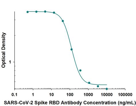 SARS CoV 2 Spike RBD Antibody MAB11294 100 R D Systems