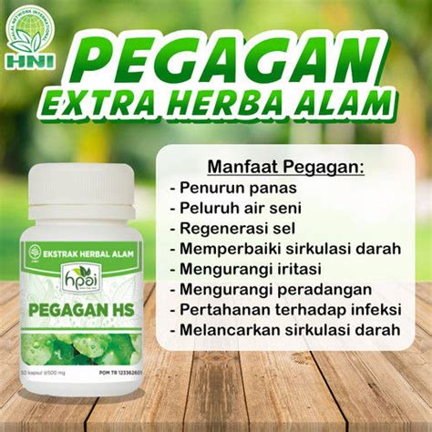 Pegagan Hni Hpai Ori Melancarkan Peredaran Darah Dan Menambah