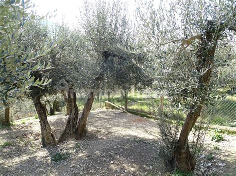 Terreno Agricolo Strada Colli Di Valenza Terni Rif