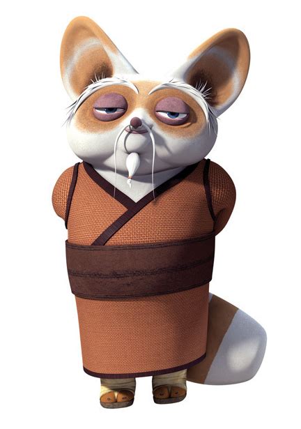 Pin By Cangyue Zhang On Re In Kung Fu Panda Costume Kung Fu