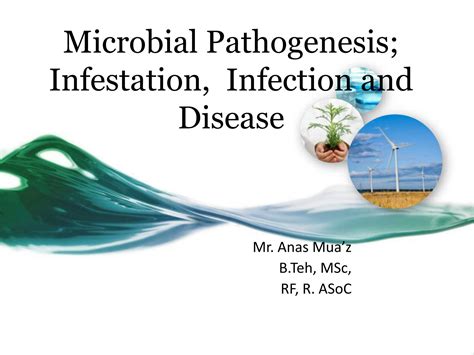 Solution Microbial Pathogenesis Infection And Disease A Studypool