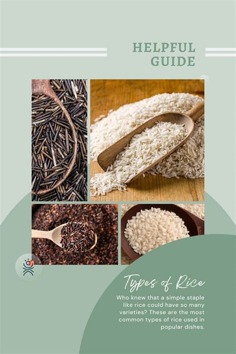 Guide to Types of Rice, from Arborio to Wild