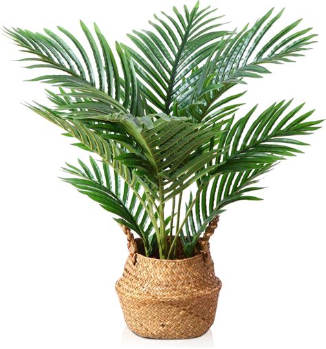 LOMANTO Faux Palmier Majesty 61 Cm Plante Artificielle Pour