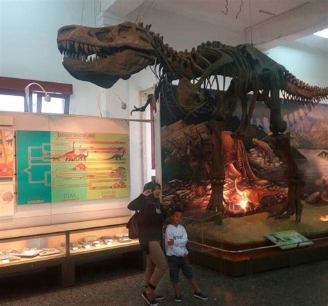 Harga Tiket Masuk Museum Geologi Bandung Rute Dan Lokasi Terbaru 2018