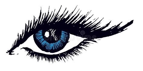 Drawing Of Female Eye Stock Vector Illustration Of Human 68906182