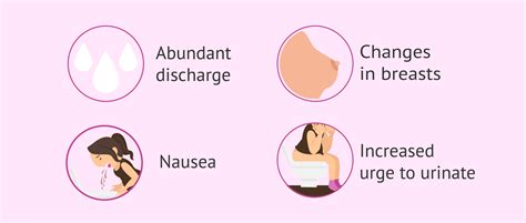 Symptoms After Embryo Transfer