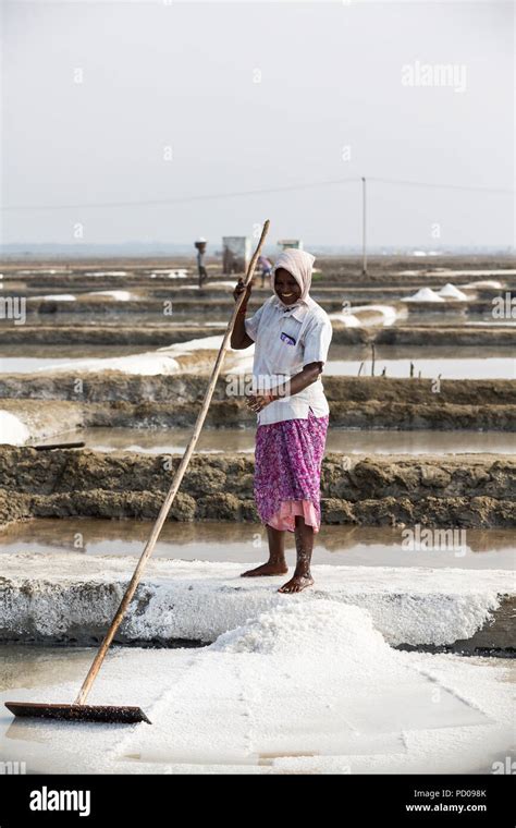 India Tamil Nadu Salt Production Hi Res Stock Photography And Images