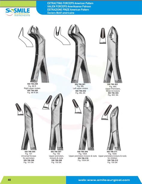 Dental Forceps Types