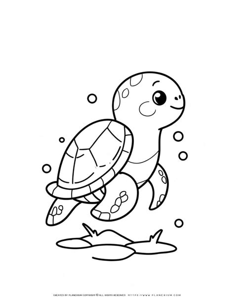 Engage with Learning & Creativity: Cartoon Turtle Coloring Page