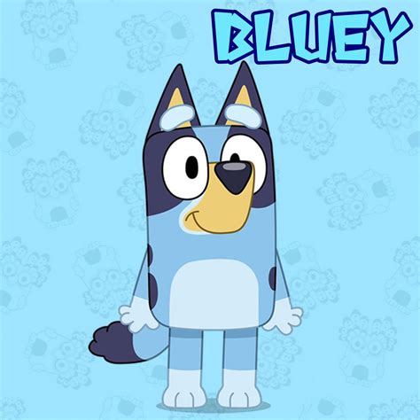 Anime World Character: Bluey by Awesomesuzy11 on DeviantArt