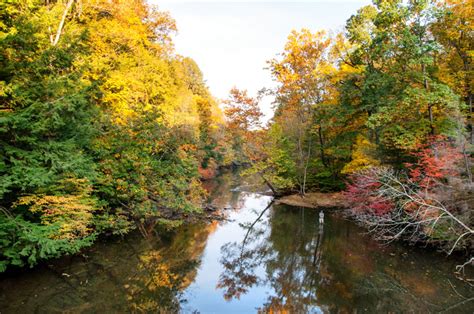 Chris Zimmer: Autumn Color at Mohican State Park