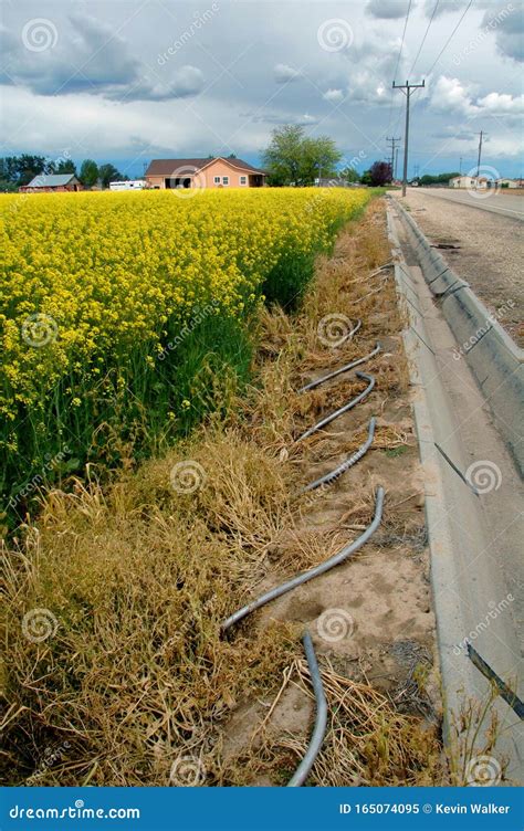 Farm Irrigation Ditch Stock Photos Download 632 Royalty Free Photos