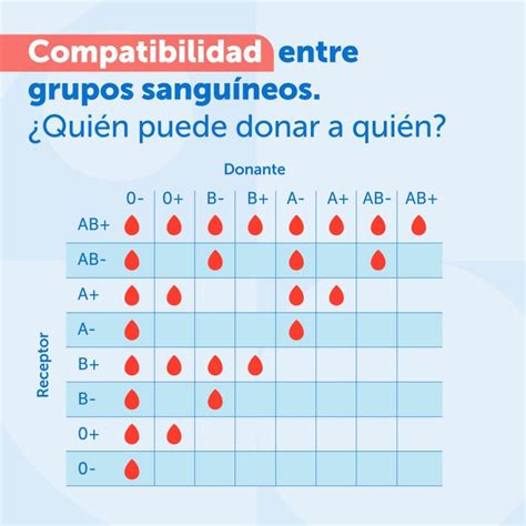 Tipos De Sangre Y Embarazo Descubre Si Son Compatibles INFANT WORLD