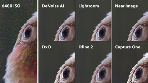 DeNoise AI Is THE BEST Image Noise Reduction Software PROOF YouTube