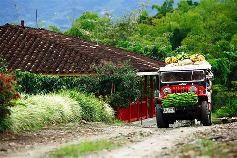 A Os De Declaratoria Del Paisaje Cultural Cafetero Como Patrimonio