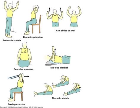 20 best images about Physical Therapy For Lower Back Pain Exercises on ...