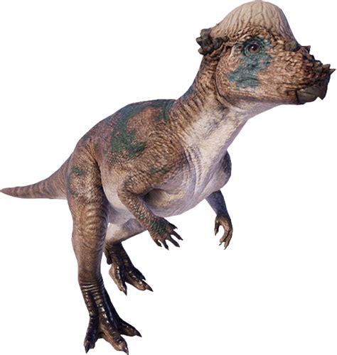 The Lost World Jurassic Park Pachycephalosaurus