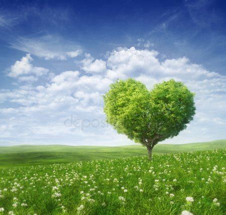 Heart tree Stock Photos, Royalty Free Heart tree Images | Depositphotos