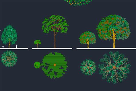 Rboles En Planta Detalles Cad Descargar En Dwg