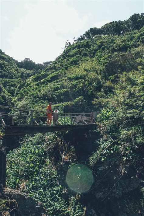 Urlaub Auf Den Azoren São Miguel Ein Botanisches Paradies