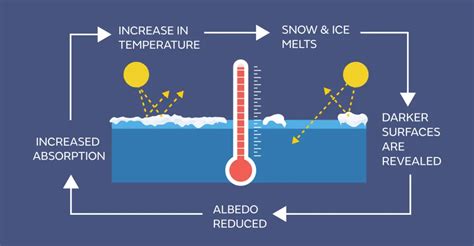 Climate Feedback Loops And Tipping Points Center For Science Education