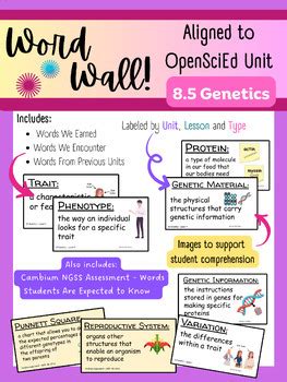 Word Wall Vocabulary Aligned To Openscied Genetics Tpt