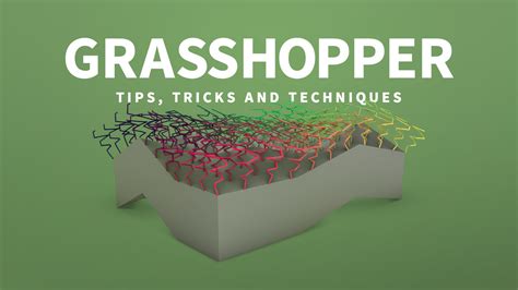 Anemone Basics Grasshopper Tips Tricks And Techniques Video Tutorial Linkedin Learning