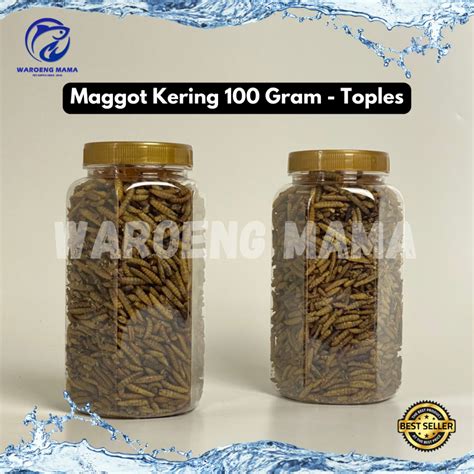 Jual Maggot Kering Bsf Gram Grade A Kemasan Toples Makanan Ikan