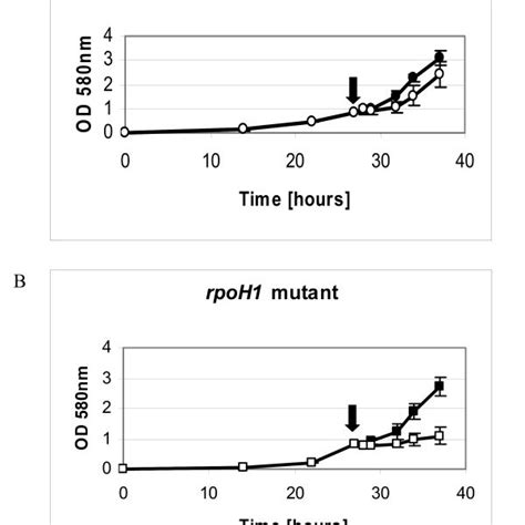 Growth Curves Of S Meliloti 1021 Wild Type Strain And Sigma Factor