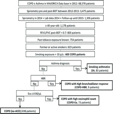 STROBE flow-chart. COPD: chronic obstructive pulmonary disease; BDT ...