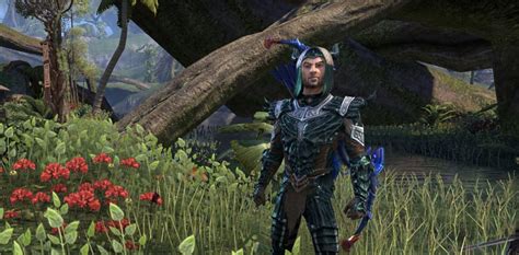 DPS Vigueur Chevalier Dragon Elfe Des Bois Archer PVE ESO Hub Elder