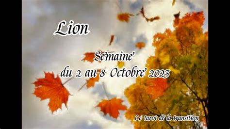 Lion Semaine Du Au Octobre Youtube