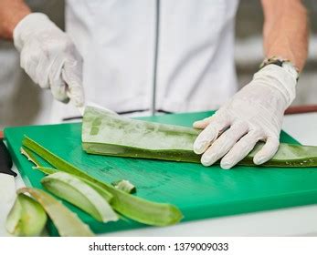 Aloe Vera Gel Cut Aloe Vera Stock Photo 1379009033 | Shutterstock