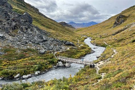 The Denali Star Train Illuminates the Best of Alaska - InsideHook