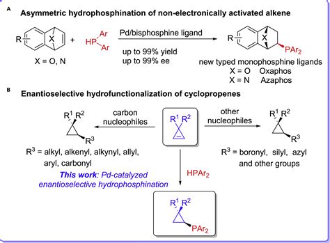 Palladium Catalyzed Diastereo And Enantioselective Desymmetric